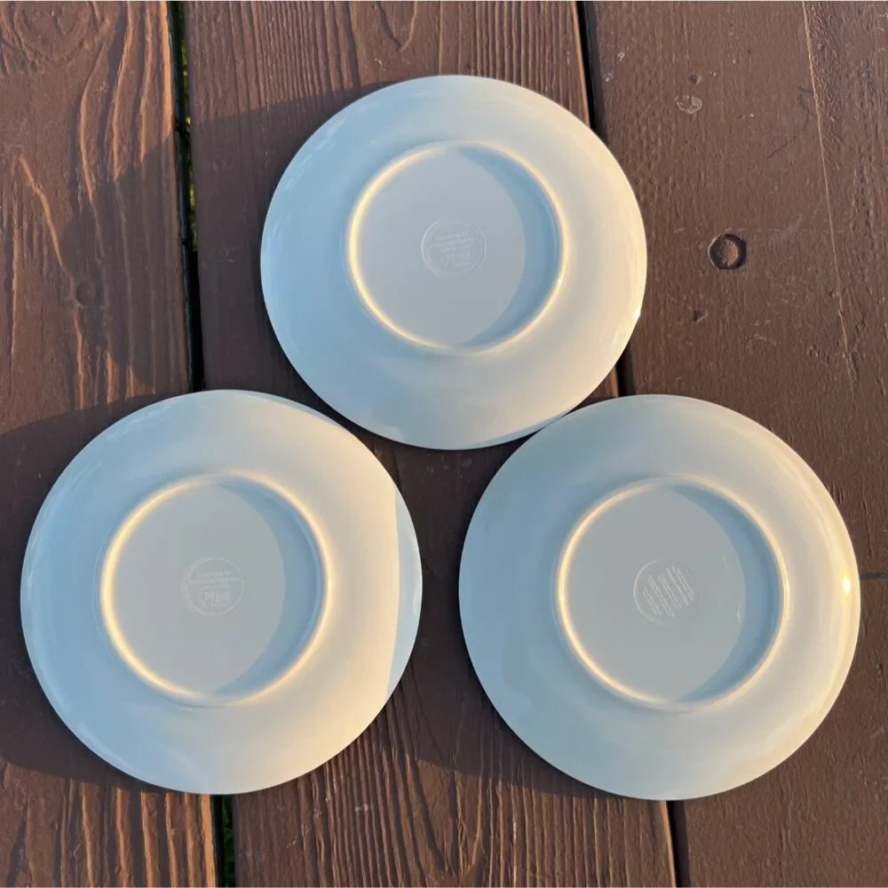 Williams Sonoma Melamine Salad Plate 8